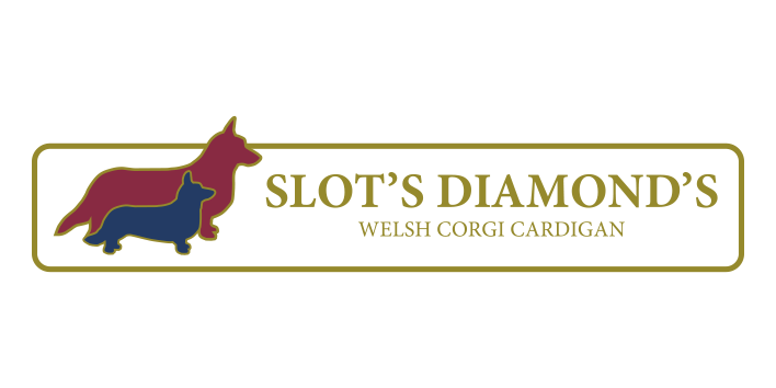 Kennel Slot's Diamond's
